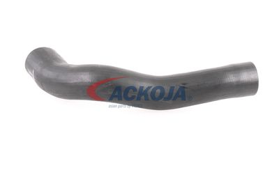 FURTUN EAR SUPRAALIMENTARE ACKOJA A379600 36