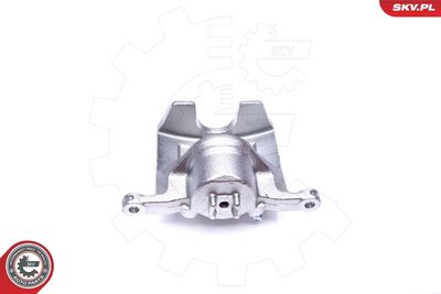 Brake Caliper 42SKV242