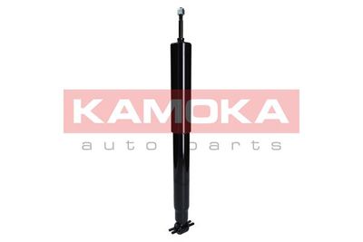 Shock Absorber 2000870