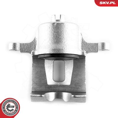 Brake Caliper 50SKV881