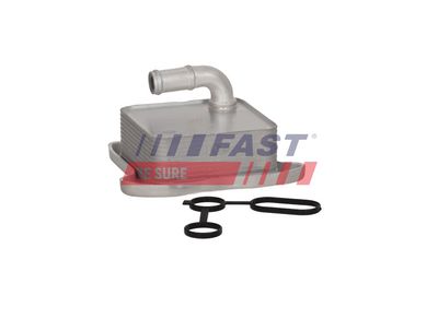 RADIATOR ULEI CUTIE VITEZE