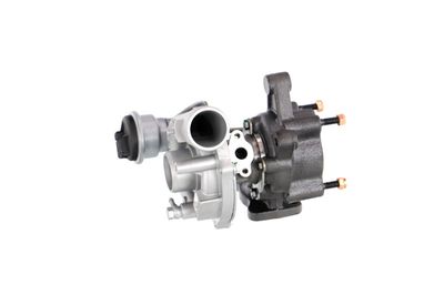 COMPRESOR SISTEM DE SUPRAALIMENTARE REMANTE 003001000025R 11