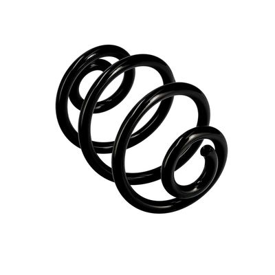 ARC SPIRAL EIBACH R10088 11