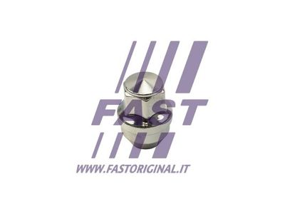 FAST FT21601 Болт кріплення колеса для TESLA (Тесла)