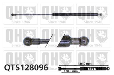 Газовая пружина, крышка багажник QUINTON HAZELL QTS128096 для RENAULT 21