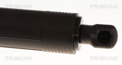 Plinska opruga, prtljažnik/teretni prostor TRISCAN 8710 29346