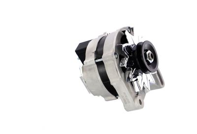 GENERATOR / ALTERNATOR REMANTE 011003000277R 46