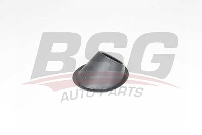 Рама, противотуманная фара BSG BSG 25-921-001