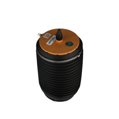 LUFTFEDER FAHRWERK Arnott A3891 60