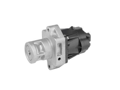 AGR-VENTIL BorgWarner 712010R 1