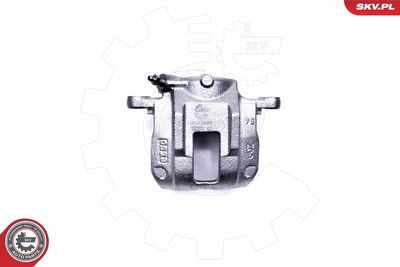 Brake Caliper 45SKV661