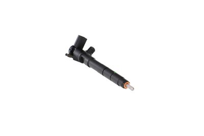 INJECTOR REMANTE 002003002261R 48