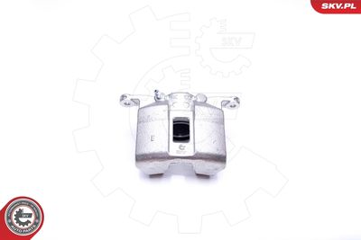 Brake Caliper 42SKV241