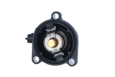 TERMOSTAT LICHID RACIRE NRF 725024 8