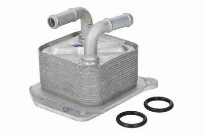 RADIATOR ULEI ULEI MOTOR