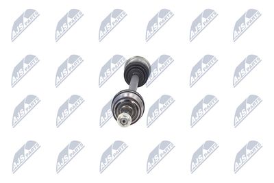 PLANETARA NTY NPWCH088 17