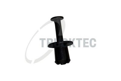 TRUCKTEC AUTOMOTIVE Išsiplečianti kniedė