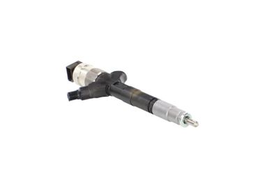 INJECTOR REMANTE 002003002213R 51