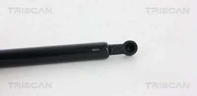 AMORTIZOR PORTBAGAJ TRISCAN 871067214 1