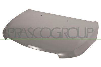 MOTORHAUBE PRASCO DW0403100