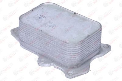 RADIATOR ULEI ULEI MOTOR BIRTH 80842 2