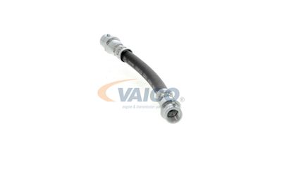 FURTUN FRANA VAICO V104114 11