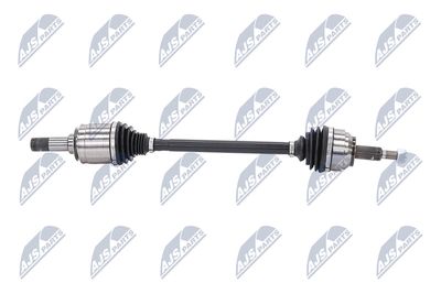 PLANETARA NTY NPWCH126 8