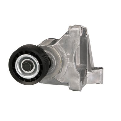 INTINZATOR CUREA CUREA DISTRIBUTIE GATES T38316 8