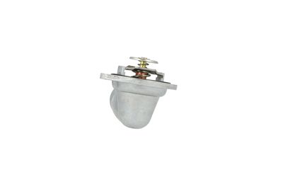 TERMOSTAT LICHID RACIRE NRF 725420 24