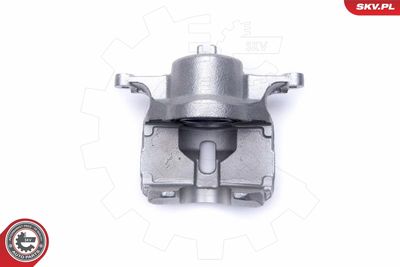 Brake Caliper 55SKV982