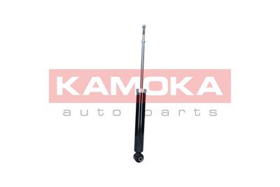 Shock Absorber 2001172