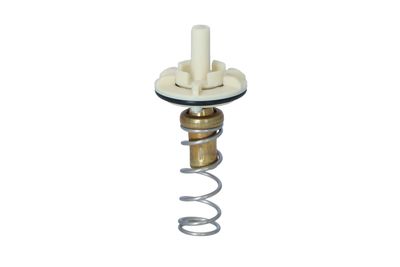 TERMOSTAT LICHID RACIRE NRF 725049 25