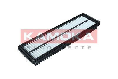 Air Filter F246801