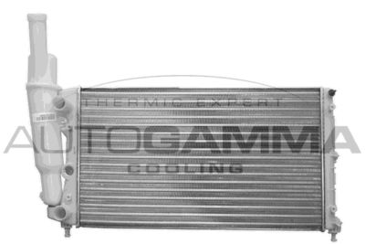 AUTOGAMMA 100294 Крышка радиатора  для LANCIA Y (Лансиа )