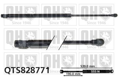 Газовая пружина, крышка багажник QUINTON HAZELL QTS828771 для SEAT ARONA