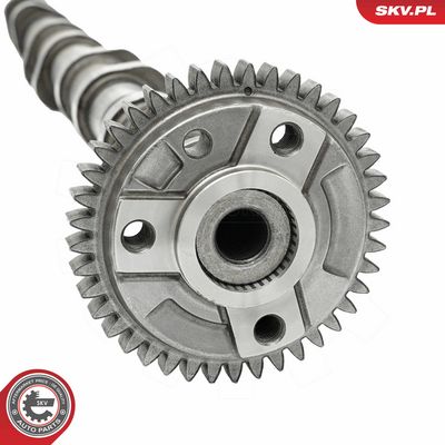 Vačkový hriadeľ ESEN SKV 80SKV012
