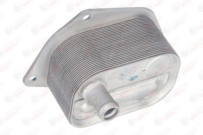 RADIATOR ULEI ULEI MOTOR BIRTH 80124 12