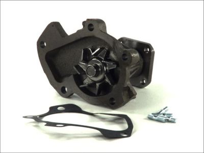 Water Pump, engine cooling D16010TT