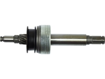 Vorschau Ritzel, Starter