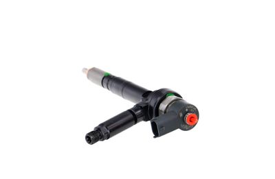 INJECTOR REMANTE 002003001094R 22