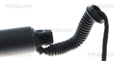 AMORTIZOR PORTBAGAJ TRISCAN 8710292085 2