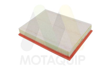 MOTAQUIP LVFA1516 Воздушный фильтр  для BMW X5 (Бмв X5)
