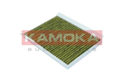 Filter, cabin air 6080011