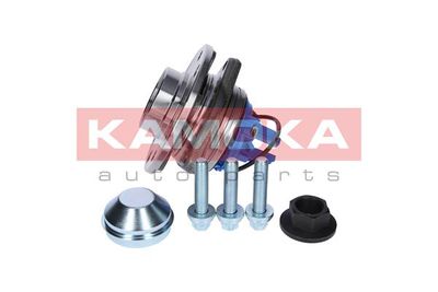 Wheel Bearing Kit 5500139