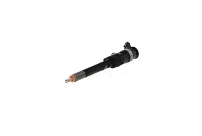 INJECTOR REMANTE 002003001132R 59