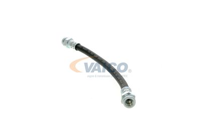 FURTUN FRANA VAICO V102309 11