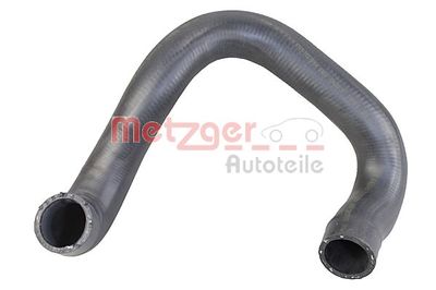 Radiator Hose 2421375