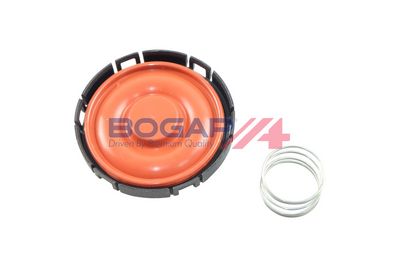VENTIL AERISIRE CARTER BOGAP B1116108 2