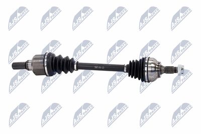 PLANETARA NTY NPWCT101 8