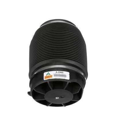 LUFTFEDER FAHRWERK Arnott A2960 58